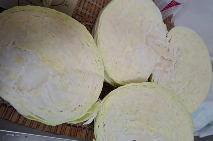 Цибуля на продаж- фото № 8