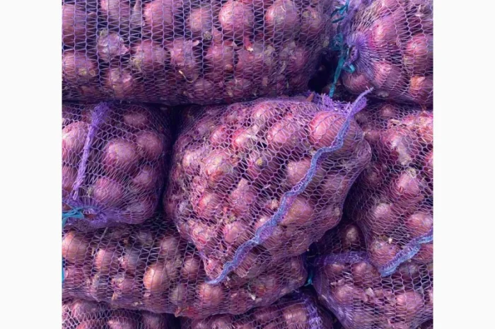 Продажа синей цибулі- фото № 2