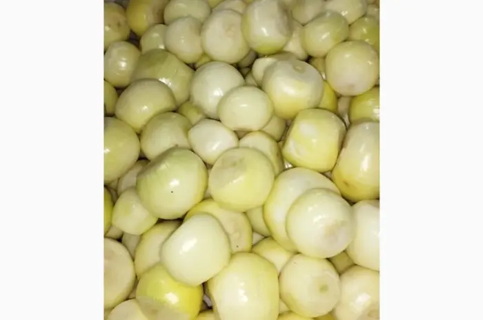 Продам чишений лук- фото № 1