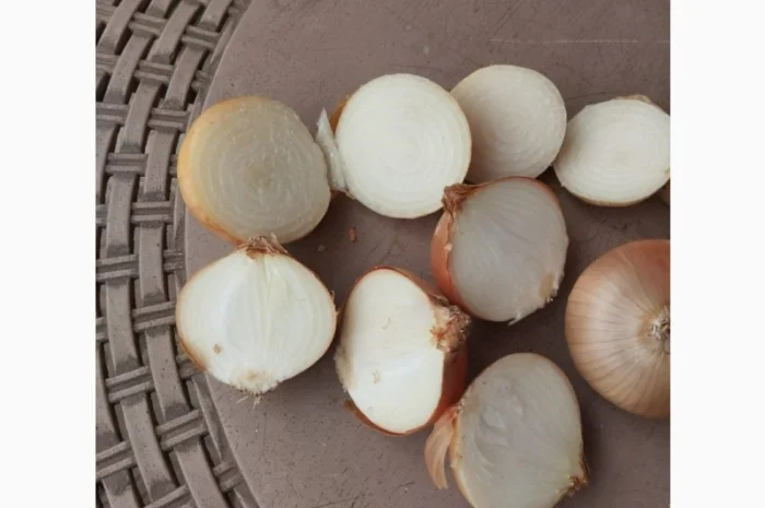 Продаю цибулю ріпчасту жовту- фото № 2