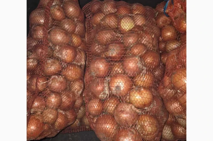 Продается лук сорт Медуза- фото № 1