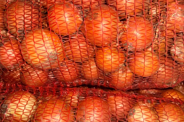 Продаю цибулю сорт манас- фото № 1