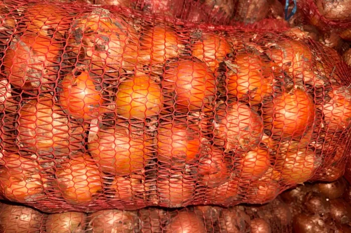 Продаю цибулю сорт манас- фото № 2