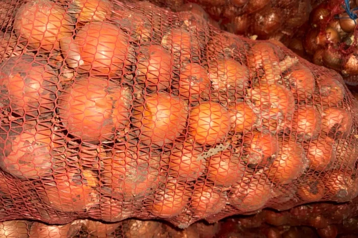 Продаю цибулю сорт манас- фото № 4