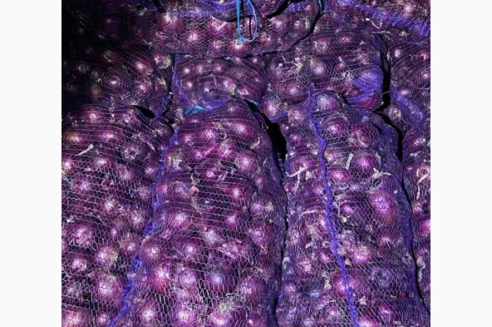 Продаж лука марс- фото № 1