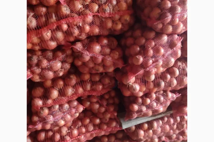 Продажа Лук сорт медуза и мелори- фото № 5