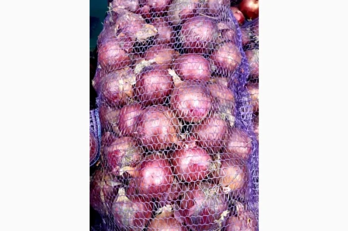 Цибуля червона - продажа- фото № 1