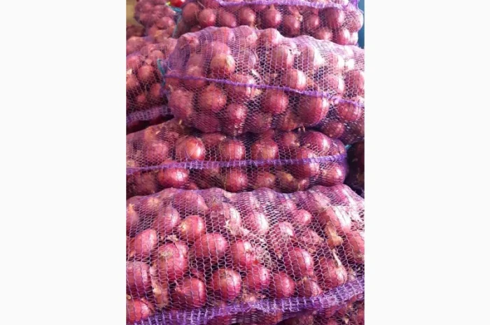 Цибуля червона - продажа- фото № 2