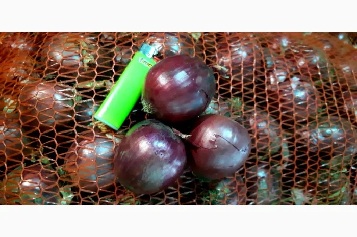 Цибуля червона - продажа- фото № 3