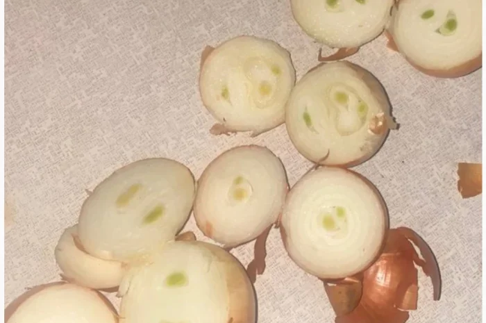 Продаю лук на перо без дефектів- фото № 1