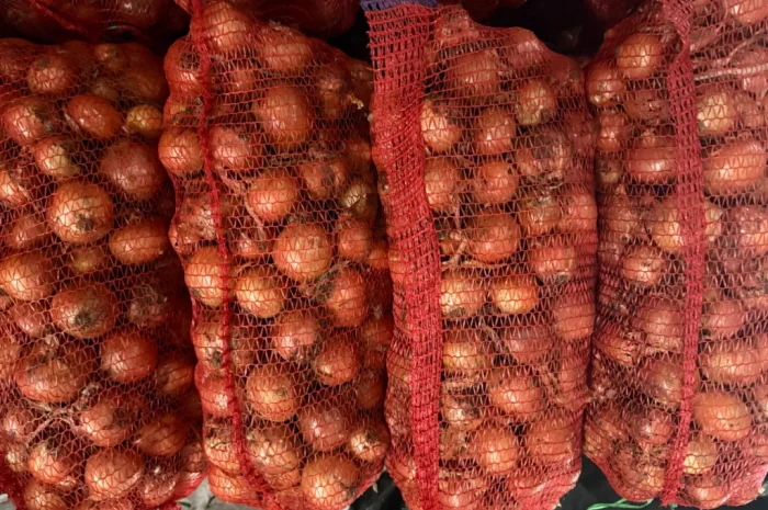 Продаю цибулю нал оптом- фото № 1