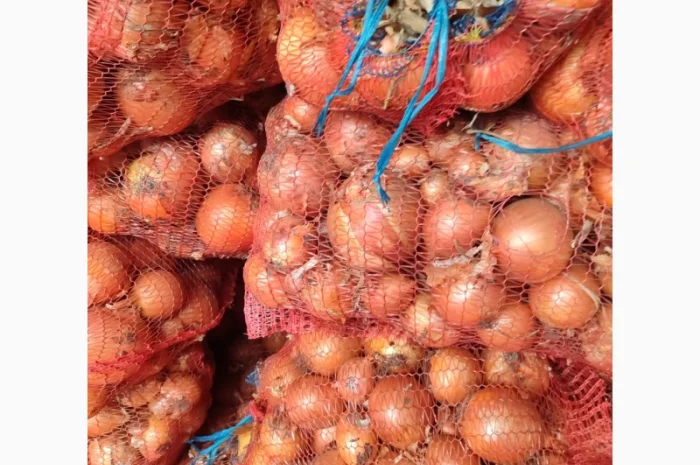 Цибуля суха оптом- фото № 1