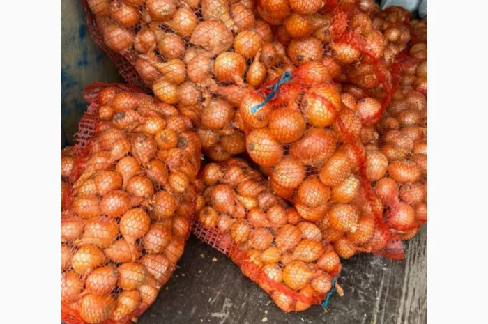 Цибуля радар - свіжий лук на продаж- фото № 1