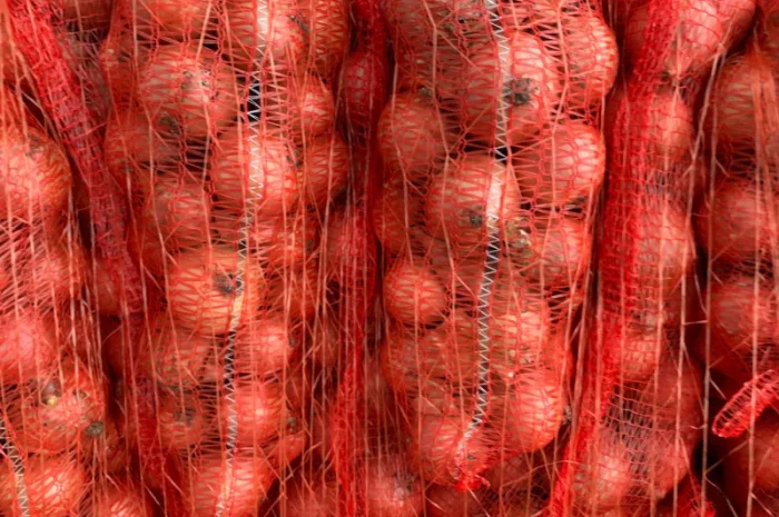 Цибуля нового поступлення на продаж- фото № 2