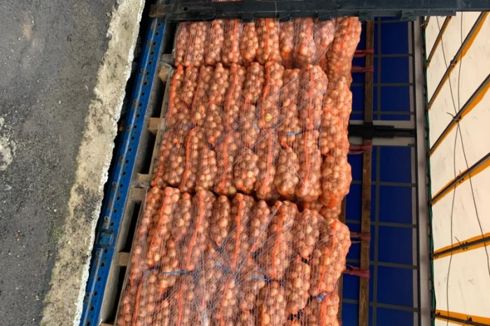 Лук оптом з Польщі- фото № 2