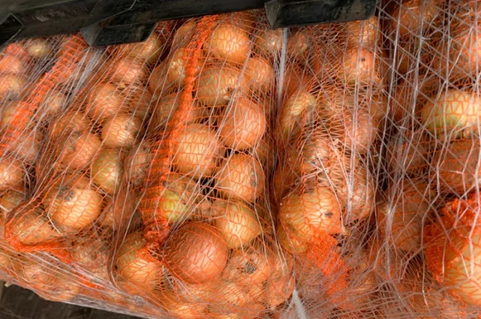 Лук оптом з Польщі- фото № 1