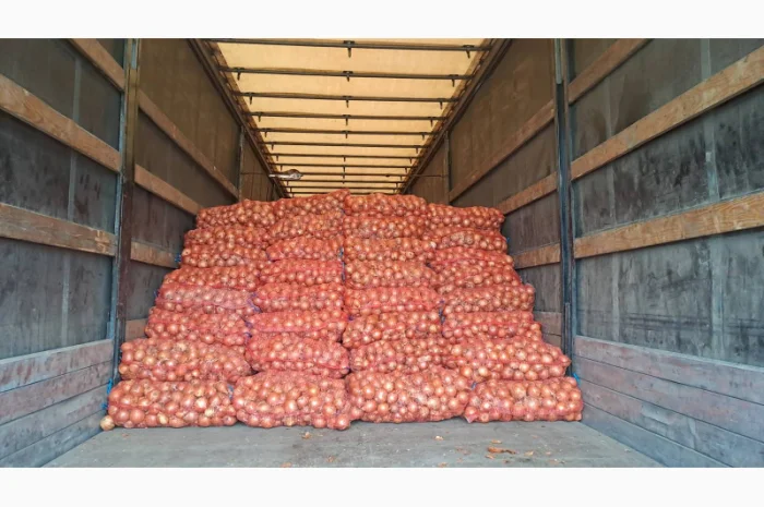 Продаж цибулі Медуза, ціна 3,5грн- фото № 1