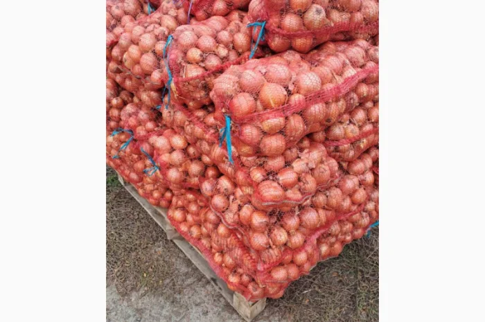 Продаж цибулі Медуза, ціна 3,5грн- фото № 2