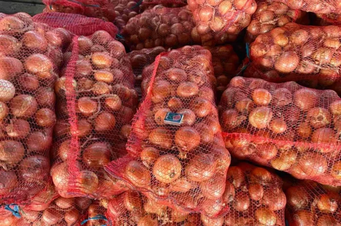 Продажа цибулі гібрид Дерек 1 ґатунок- фото № 2