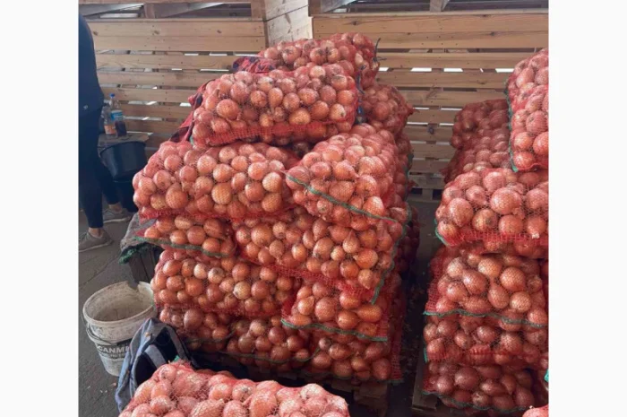 Цибуля першого гатунку на продаж- фото № 4