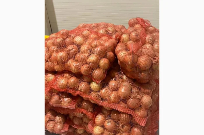 Якісна ріпчаста цибуля на продаж- фото № 1