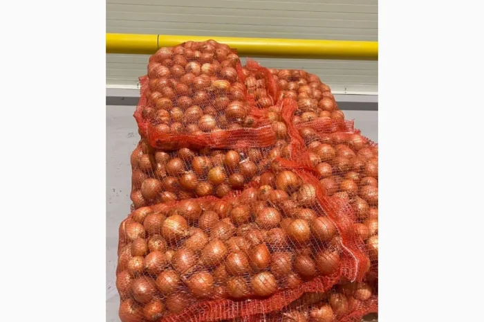 Якісна ріпчаста цибуля на продаж- фото № 3