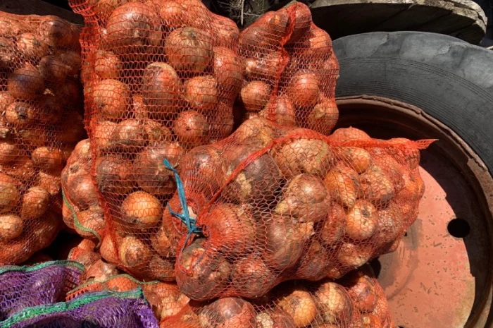 Цибуля крупна на продажу за оптовими цінами- фото № 1