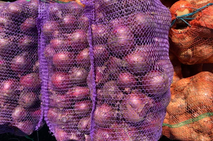 Продаж Цибуля синя оптом від 500 кг- фото № 1