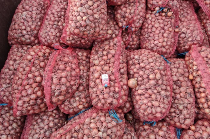 Продается мілка цибуля Медуза- фото № 1