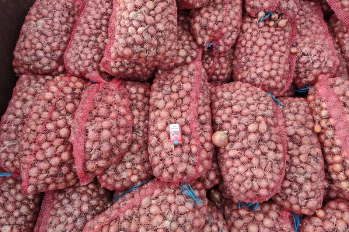 Продам мелкий лук- фото № 1