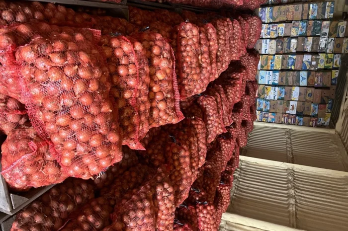 Цибуля Манас, Медуза на продаж- фото № 1