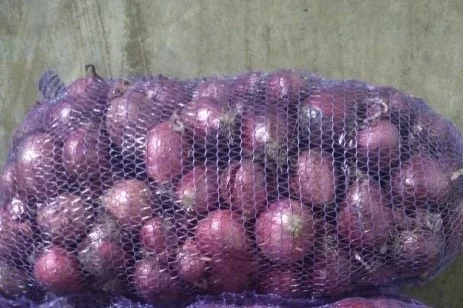 Продаж цибулі білої та червоної в Гладківщина- фото № 2