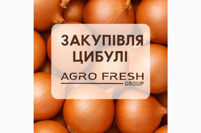 Закупівля цибулі на постійній основі- фото № 1