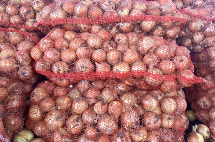 Продаж цибулі сорту Медуза- фото № 2