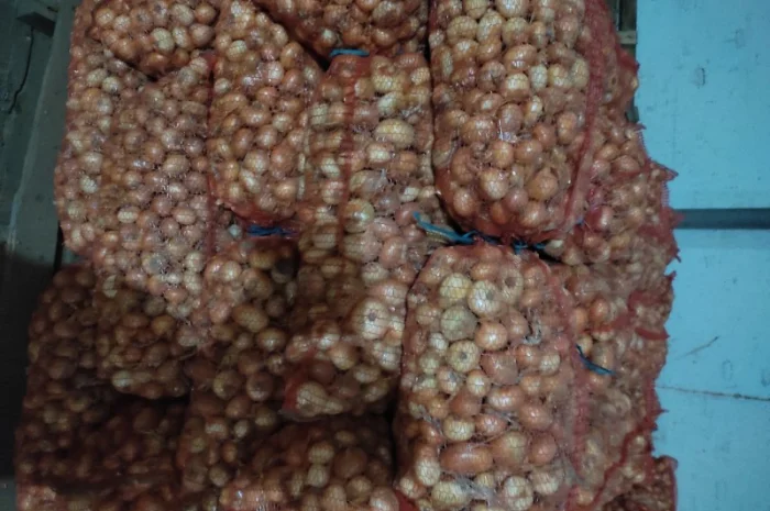 Штутгарт на перо для продажу- фото № 1