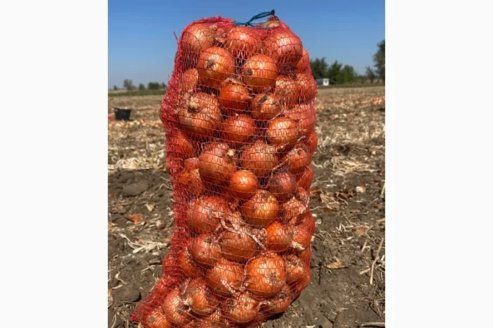 Цибуля оптом з складу Медуза- фото № 2