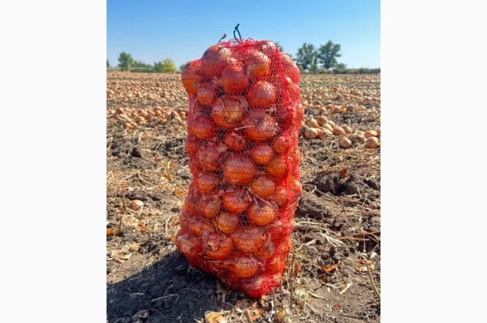 Цибуля оптом з складу Медуза- фото № 3