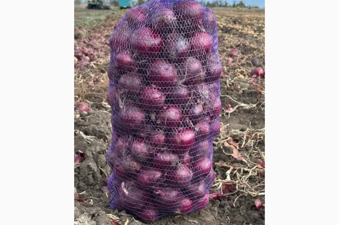 Продаю червону цибулю оптом- фото № 1