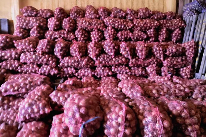 Продаю цибулю в Петриковке- фото № 1