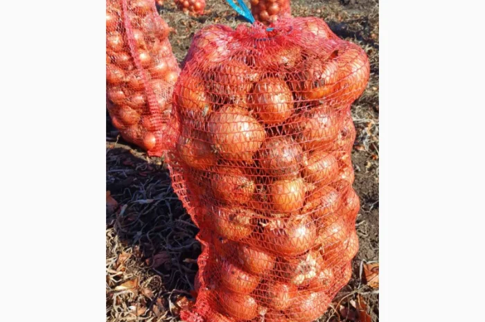 Продаю цибулю 5 тонн- фото № 1