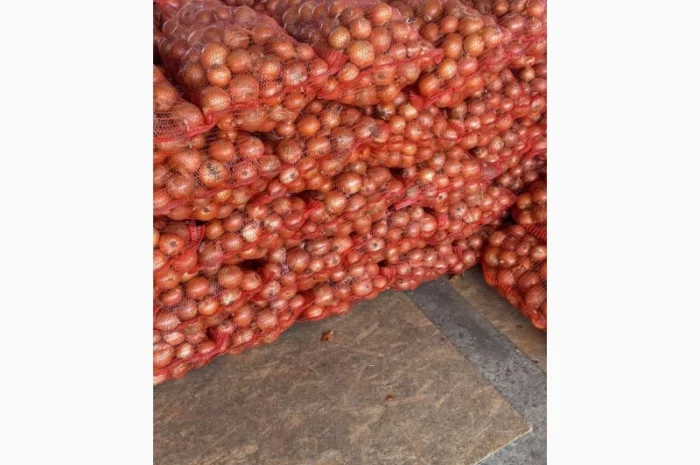 Продается цибуля Медуза, калібр 5+- фото № 3