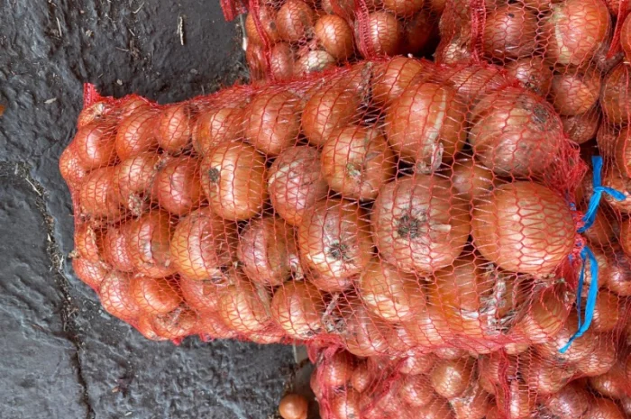 Продается цибуля Медуза, калібр 5+- фото № 4