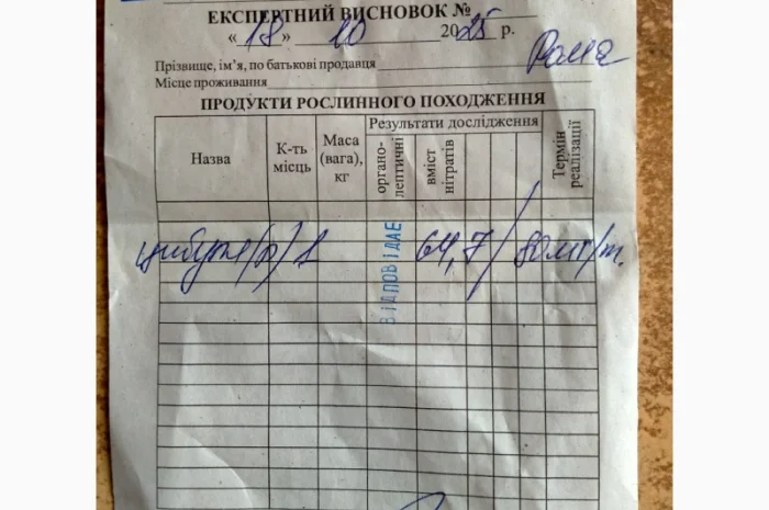 Лук репчатый с низким содержанием нитратов- фото № 5