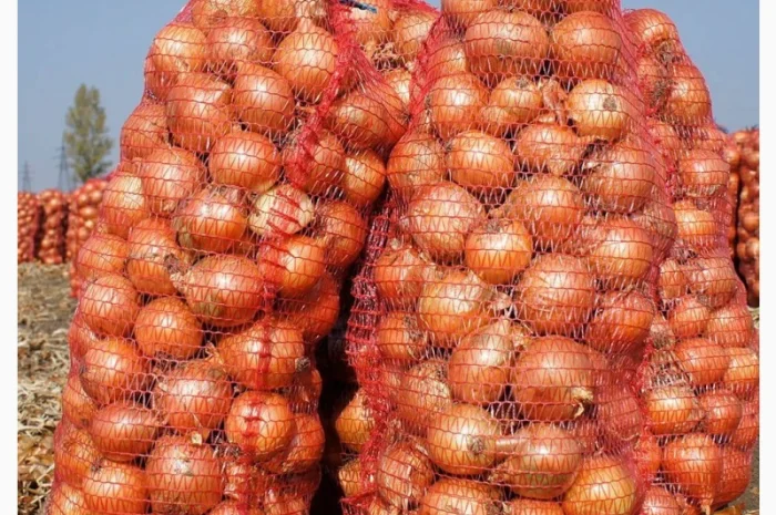 Продаж лука сорту Медуза оптом- фото № 1