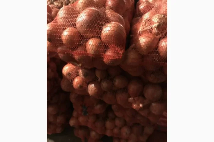 Пропоную цибулю сорт Штутгарт- фото № 1