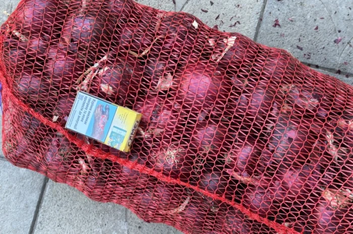 Цибуля червона (лук синій) на продажу- фото № 1