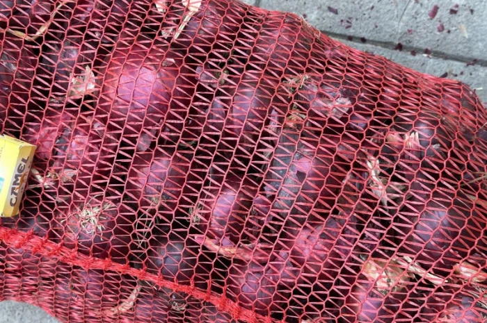 Цибуля червона (лук синій) на продажу- фото № 2