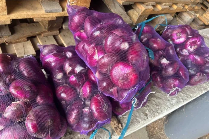 Ялтинский лук на продажу- фото № 1