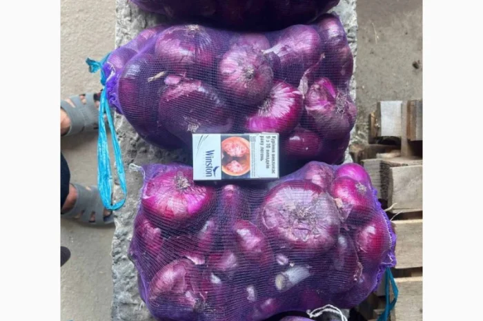 Ялтинский лук на продажу- фото № 2