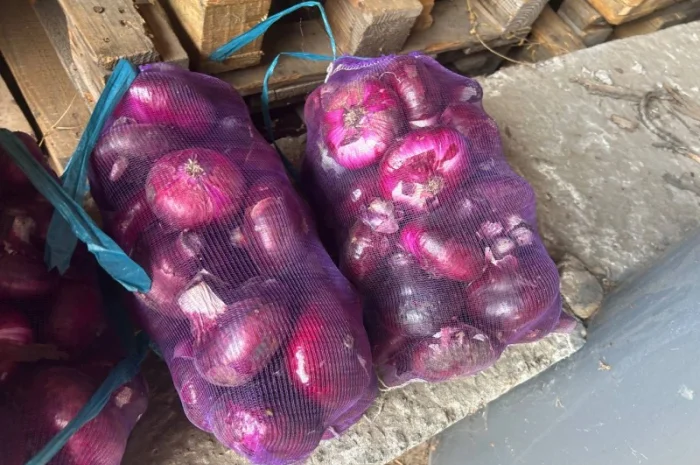 Ялтинский лук на продажу- фото № 3